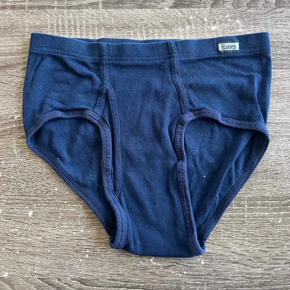 Hanes Navy Blue Briefs